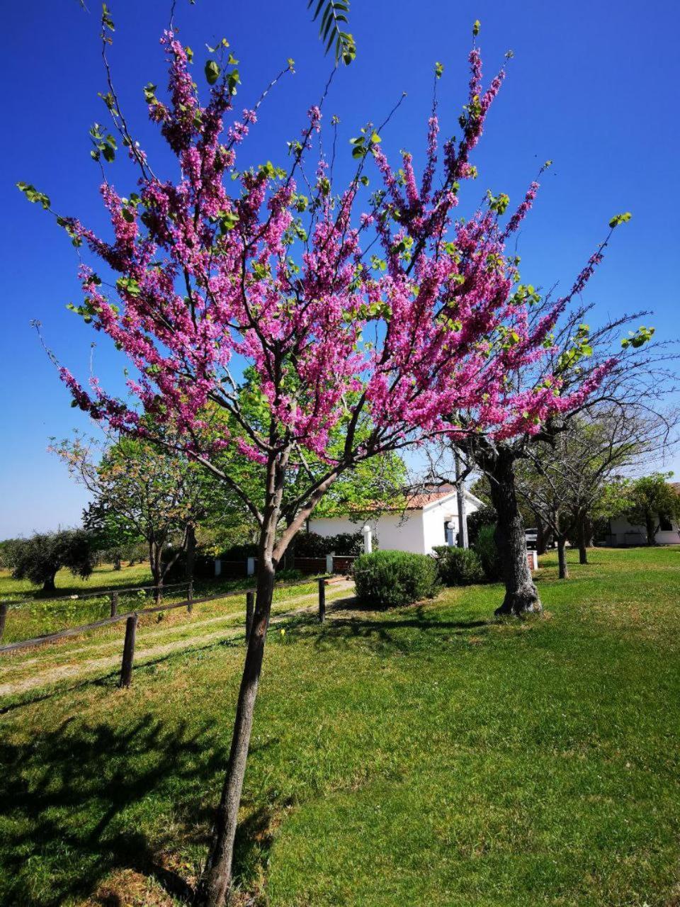 Casa Tonino Villa Pisticci Exterior foto